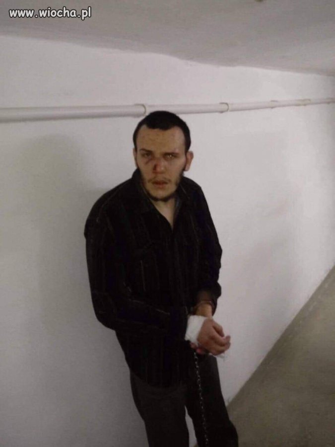 Stefan