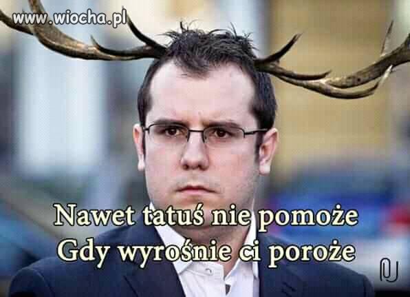 Wszystko