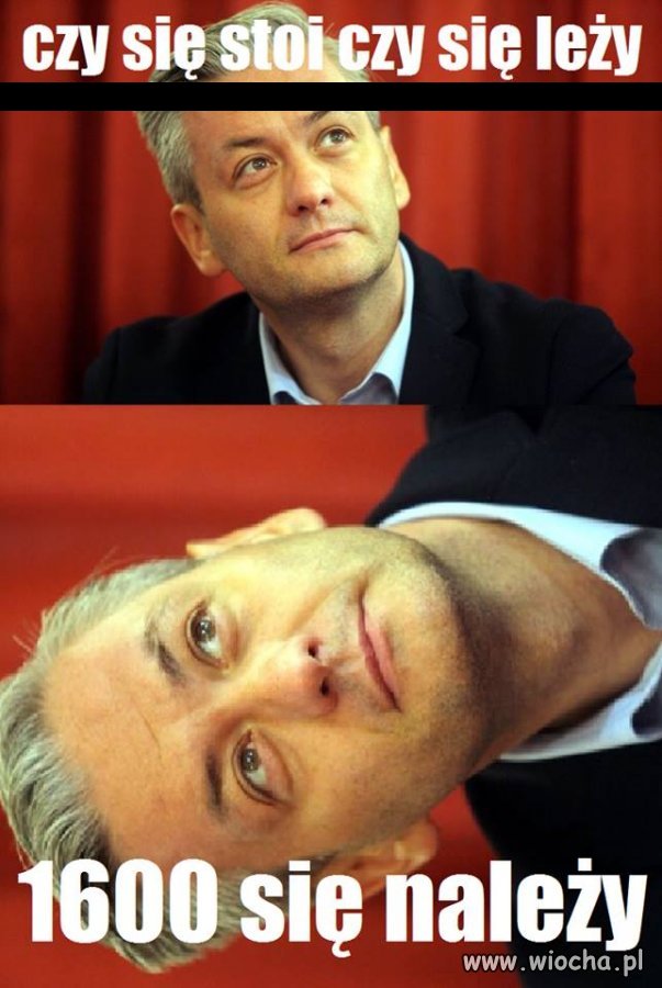 Pomysł Biedronia