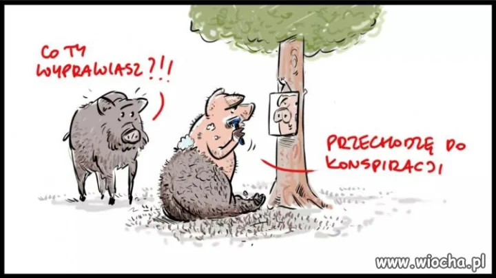 Dziki temat...