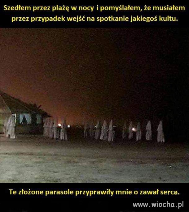 Coś w tym jest
