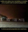 Coś w tym jest