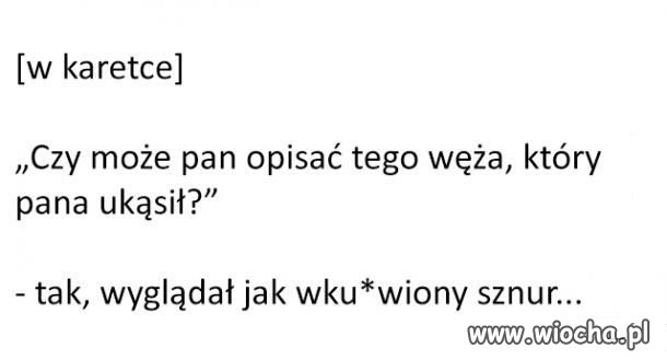 Ciekawy