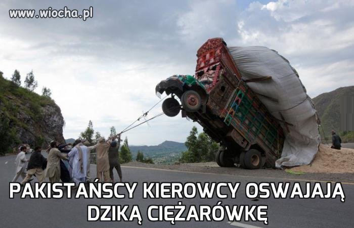 Co za widok!