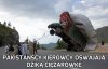 Co za widok!