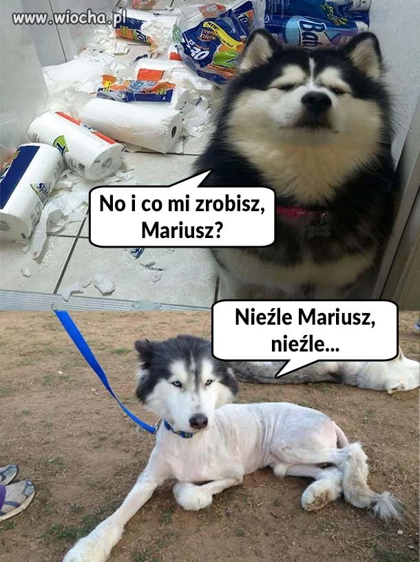 No i co ?