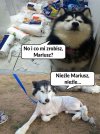 No i co ?