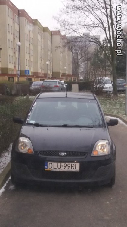 Wieśniak z Lubina