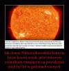 A w Korei Północnej po staremu