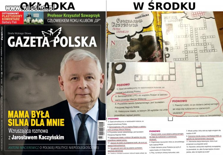 Krzyżówka Lisiewicza
