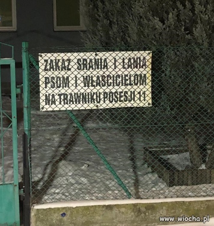 Bu­rak to ta­kie warzy­wo..