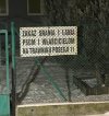 Bu­rak to ta­kie warzy­wo..