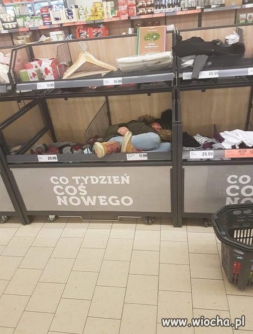 Świeża dostawa