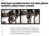 Doświadczenie, sumienność, kwalifikacje, awans