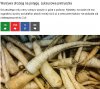 Dobra zmiana działa na szkodę wegetarian