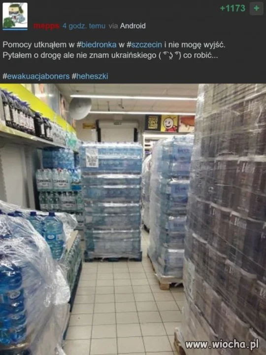 BHP Biedronka