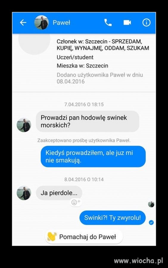Smakosz świnek