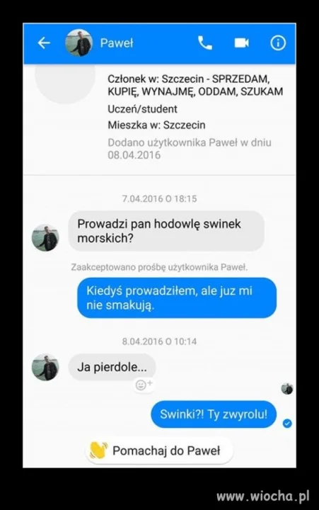 Smakosz świnek