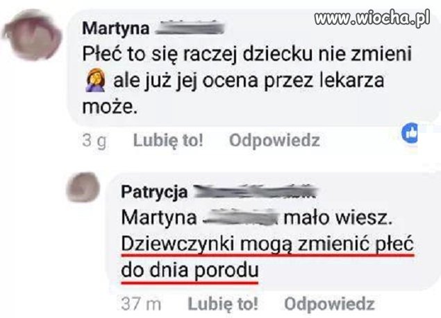 Płeć