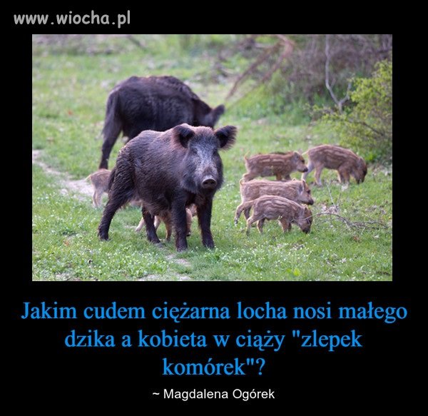 Jak to jest