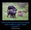 Jak to jest