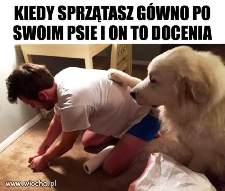 Prawdziwy przyjaciel