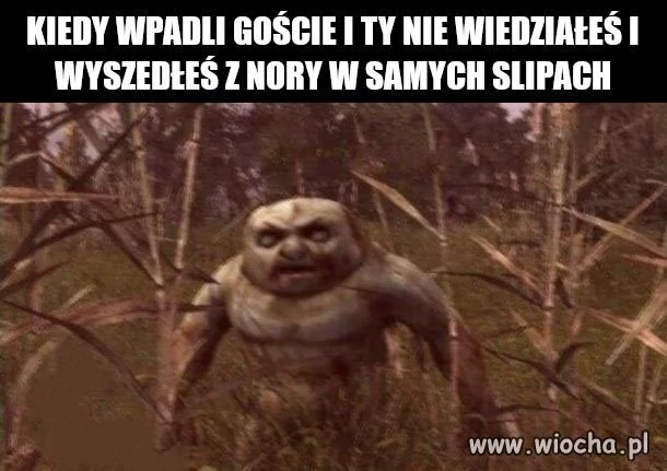 Kiedy wpadli goście