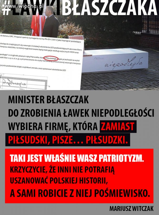 Teraz czekamy na pomnik kota