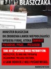 Teraz czekamy na pomnik kota