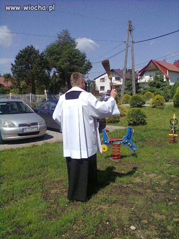 I kasiurka leci