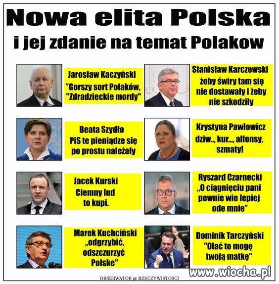 ELYTA Pis