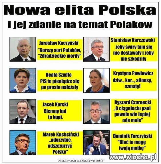 ELYTA Pis