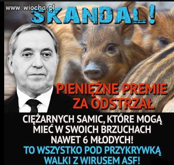 Za sztukę płaca 450 zł