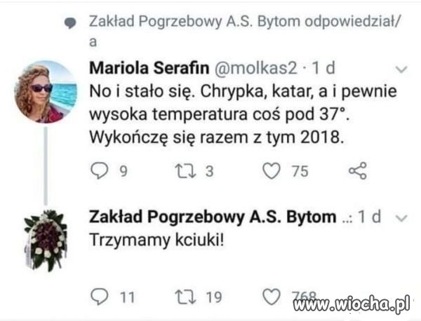 Niezły