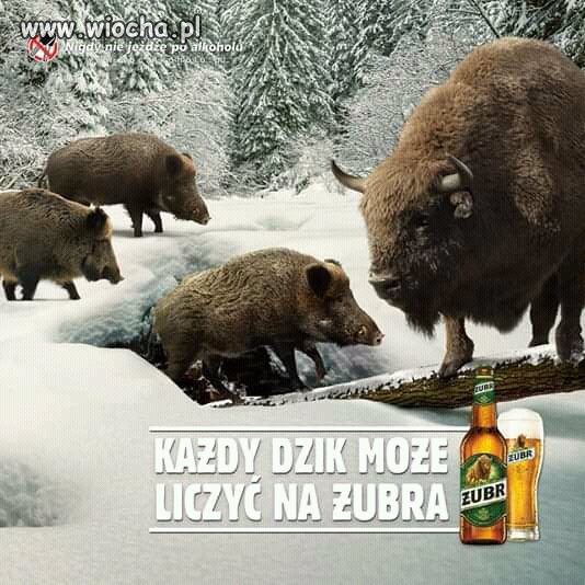 Reklama 
