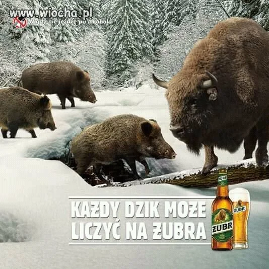 Reklama 