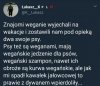Psy weganie ?