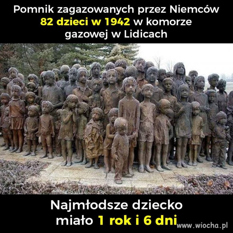 Wstrząsający widok