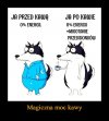 Magiczna moc kawy