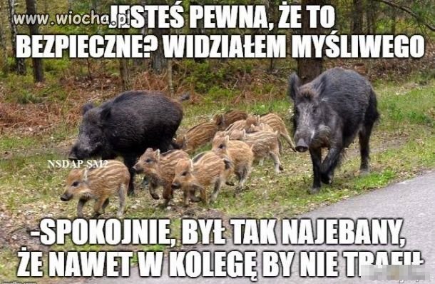 Z życia 