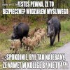 Z życia 