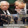 Z cyklu Poseł Suski