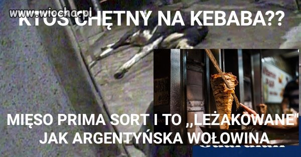Januszowska wołowina 