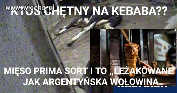 Januszowska wołowina 