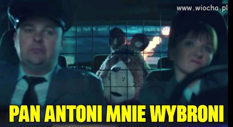 Co Misiek mówi