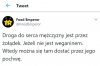 Coś w tym jest