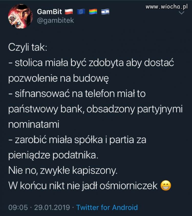 Nie ma ośmiorniczek,