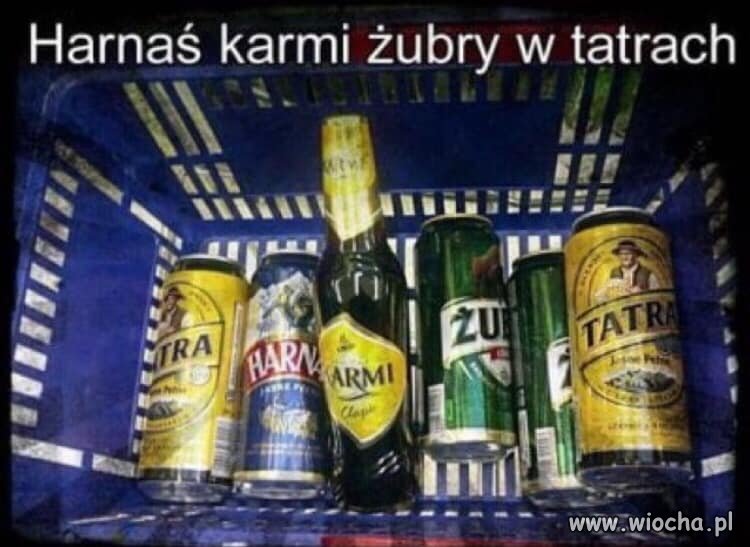 Tyle w temacie
