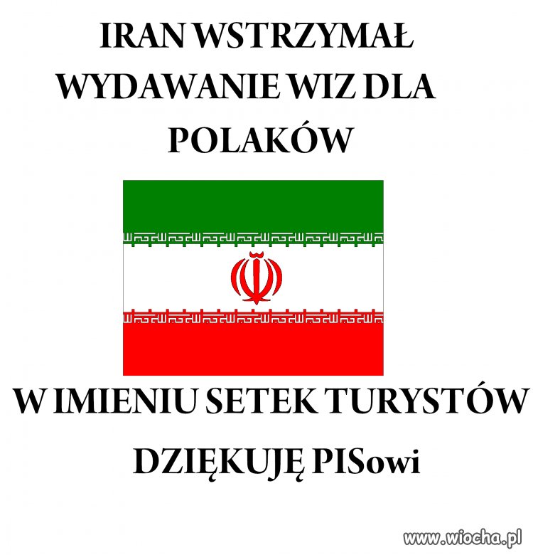 Kolejny sukces MSZ
