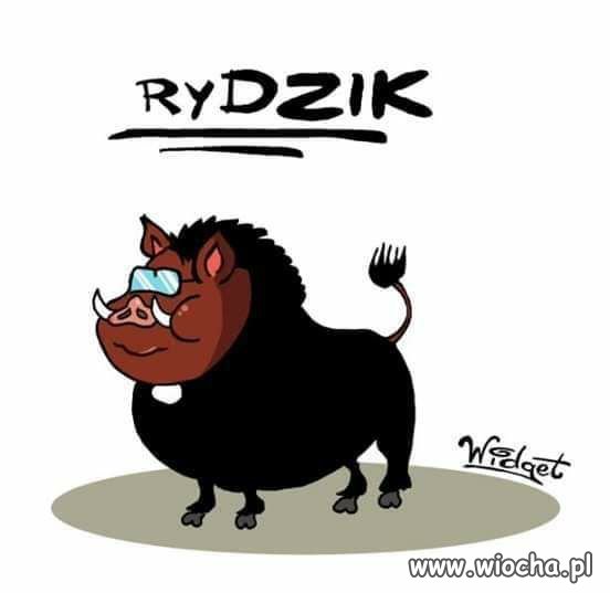 Niech uważa